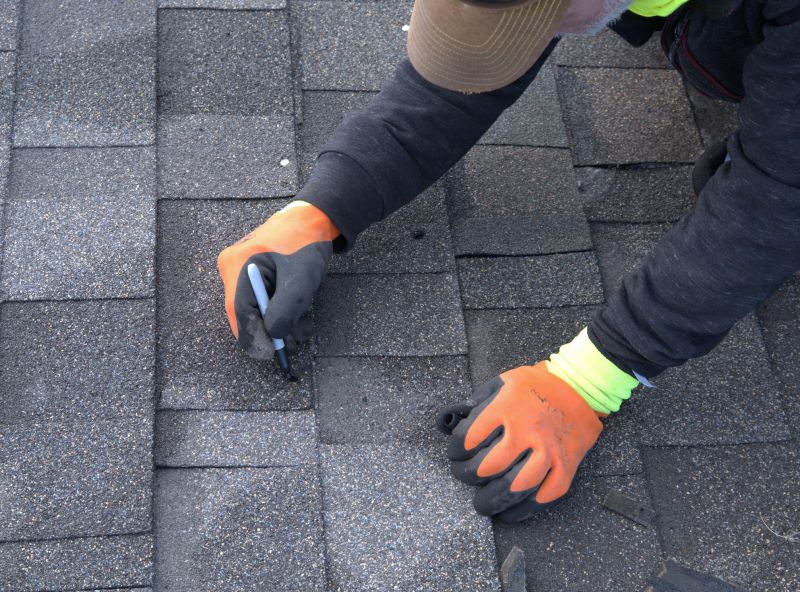 Professional Asphalt Roof Maintenance